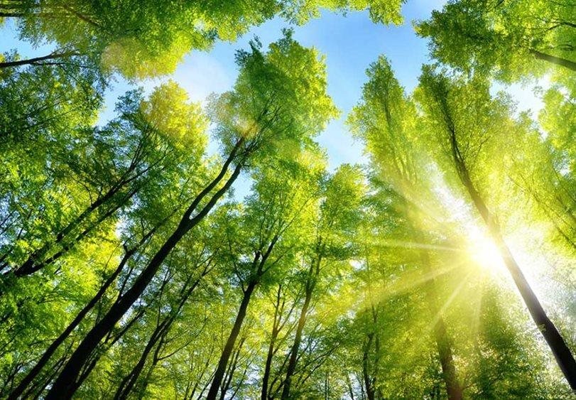 Chart and Bloom Energy team up on carbon capture