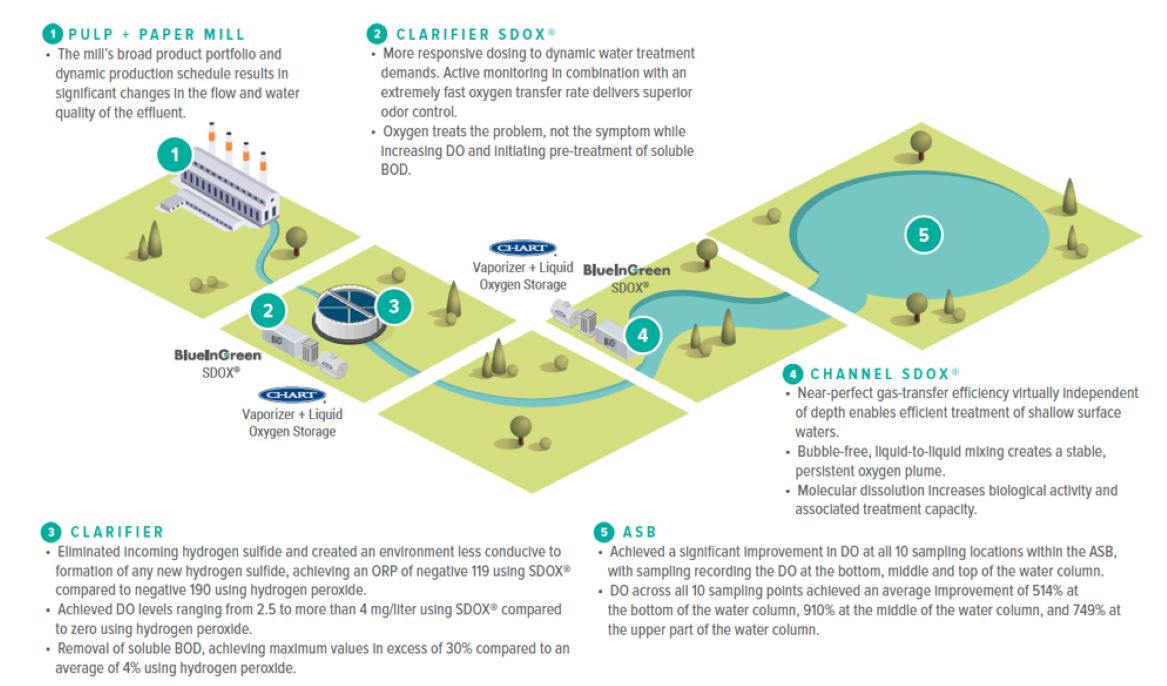 water treatment in the pulp and paper sector